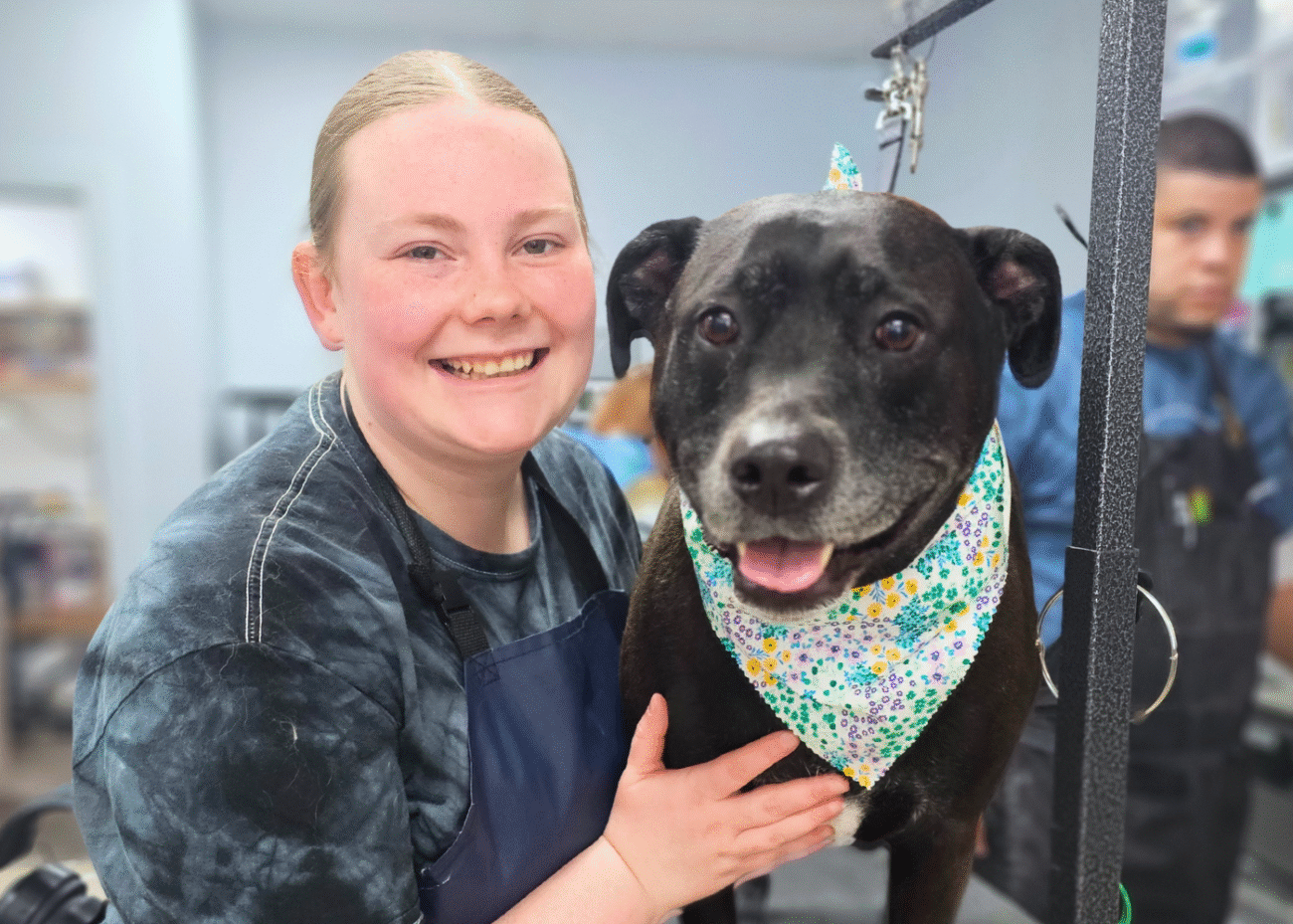 We welcome dogs of all breeds, sizes, ages, temperaments, coat conditions, and abilities at Hippie Hounds Grooming in Lynnwood.