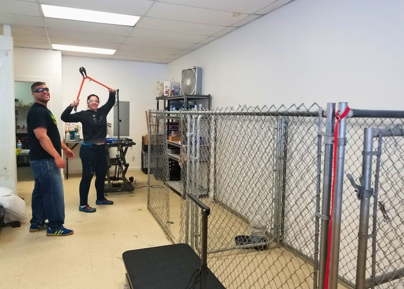 Amanda about to cut the kennel for our expansion in 2017. In 2017, Hippie Hounds expanded the Lynnwood location to two suites. Work starts now!