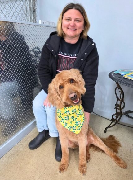 Loyal client Jennifer and her Doodle, Sherman At Hippie Hounds Grooming, we are so grateful to all of our clients, including Jennifer with her Doodle, Sherman, who we have the pleasure of grooming regularly since we opened in 2016.