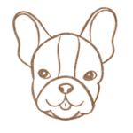 A hand-drawn sketch of a dog's head resembling a Chihuahua by Hippie Hounds Dog Grooming & Self-Wash in Lynnwood, WA.