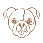 A hand-drawn icon of a small dog resembling a Pug by Hippie Hounds Dog Grooming & Self-Wash in Lynnwood, WA.