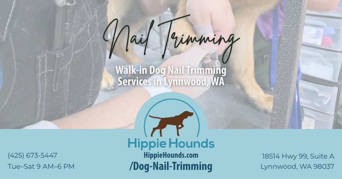 Dog Nail Trimming in Lynnwood - Walk-Ins Welcome - Hippie Hounds ... - Dog Nail Trimming Prices Near My Location