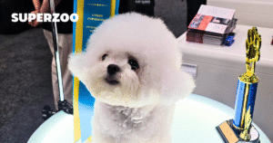 What We Learned at SUPERZOO 2025