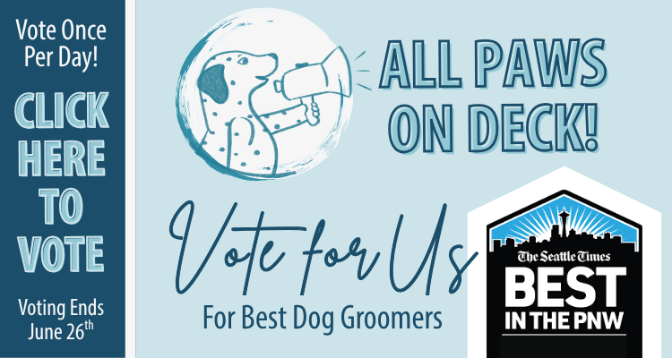 Vote for Hippie Hounds in The Seattle Times Best in the PNW for Best Dog Groomers