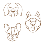 A sketch of three different dog breeds.