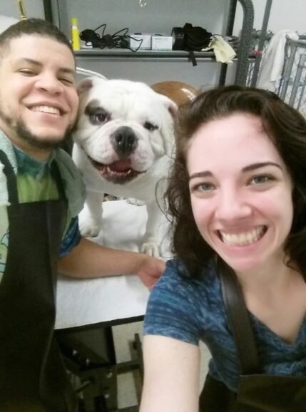 The A-Team in 2018: Aaron & Amanda The A-Team of Hippie Hounds Dog Grooming: Aaron and Amanda in 2018
